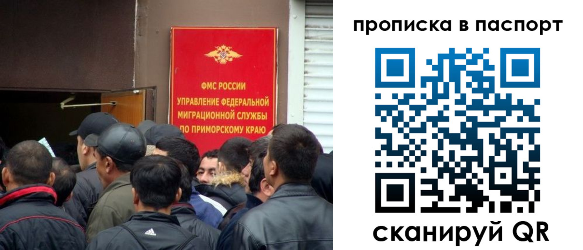 прописка поиск в Новошахтинске
