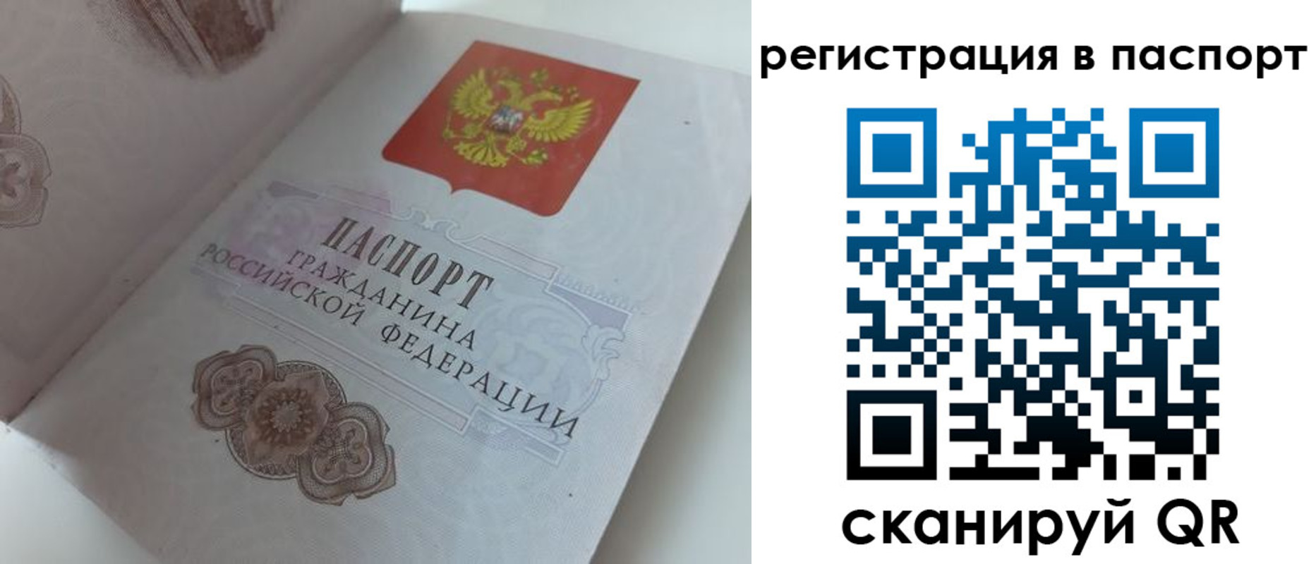 прописка регистрация в Новошахтинске